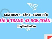 Giải bài 6 trang 43 Toán 8 Tập 1 SGK Cánh Diều